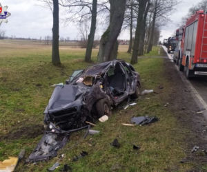 Zjechał z drogi i uderzył w drzewo. MAKABRA! Z samochodu zostało niewiele [ZDJĘCIA]