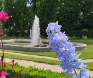 Fontanny na terenie Salonu Ogrodowego Pałacu Branickich