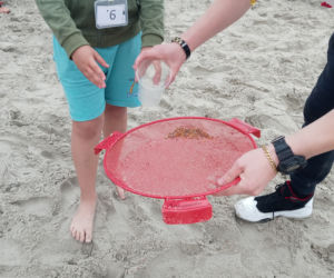 Ekipa Eska Summer City odwiedziła Kołobrzegi i wzięła udział w zawodach w poławianiu i przesiewaniu bursztynu