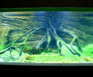Rozbudowa ZOO