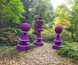 Poznański park iluminacji Magiczny Las