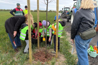 Zazieleni się Trojanowskiego w Lesznie. Przy ulicy posadzono drzewa
