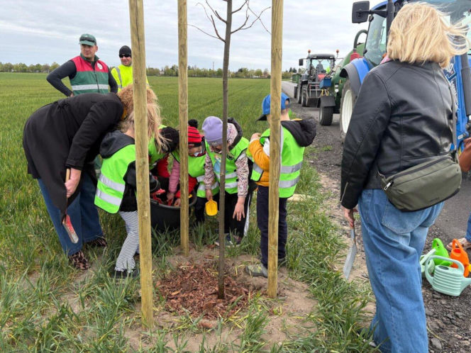 Zazieleni się Trojanowskiego w Lesznie. Przy ulicy posadzono drzewa