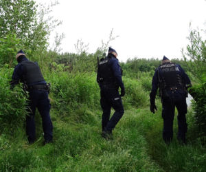 Policjanci szukają dowodów zbrodni sprzed 18 lat w Niwce