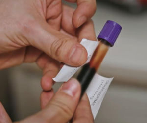 Złoty chłopak odcinek 281