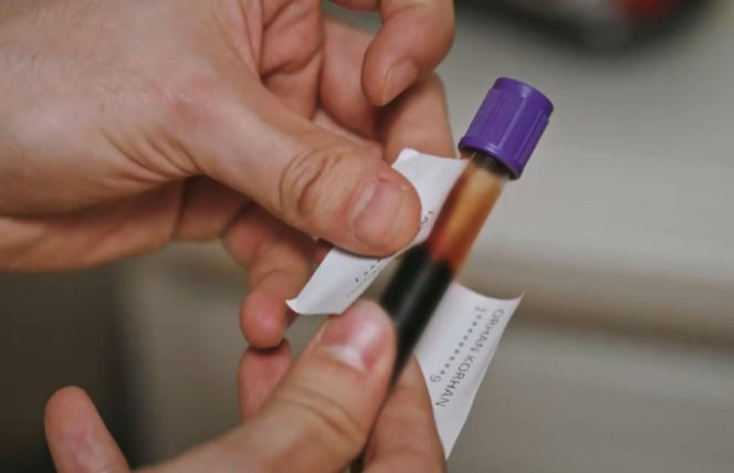 Złoty chłopak odcinek 281