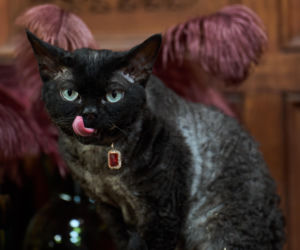 The Traitors. Zdrajcy sezon 3 odcinek 8