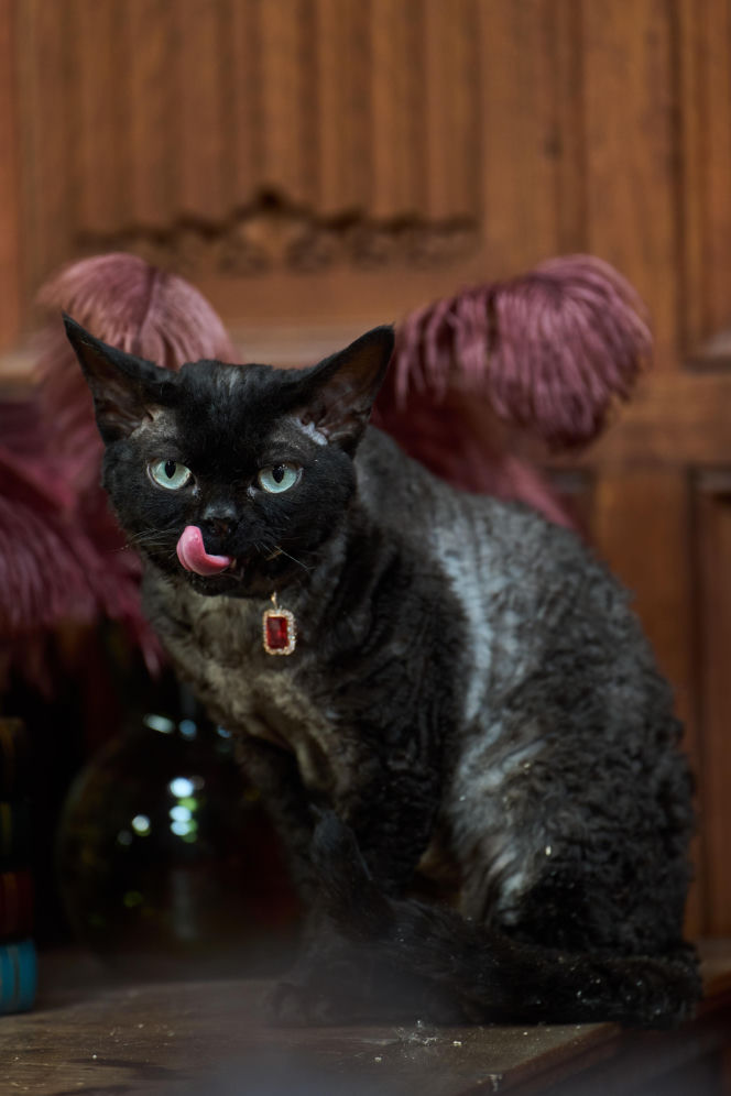 "The Traitors. Zdrajcy" sezon 3 odcinek 8