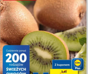 Doskonałe promocje w Lidlu