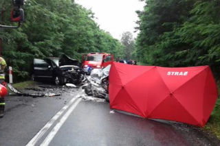 Śmiertelny wypadek w m. Redzeń pod Sieradzem. 71-latek WJECHAŁ NA CZOŁÓWKĘ w auto z dzieckiem [ZDJĘCIA]