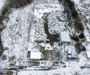 Skarbówka sprzedaje tereny pod farmy fotowoltaiczne. Są tańsze niż mieszkania w Katowicach