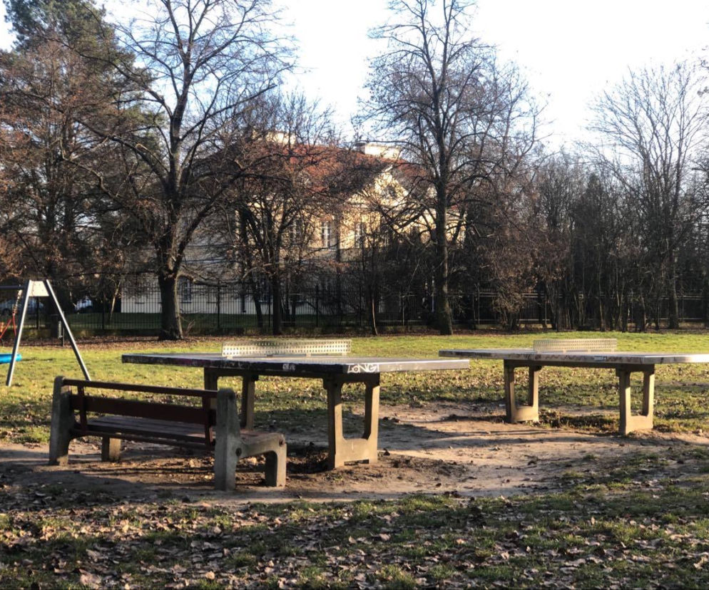 Plac zabaw dla dorosłych