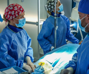 Szpital św. Anny: streszczenie odcinka 174