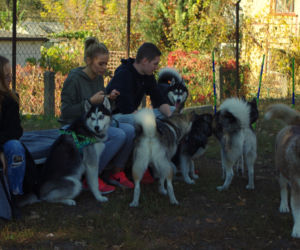 Husky opanowały Psi Park! [GALERIA]