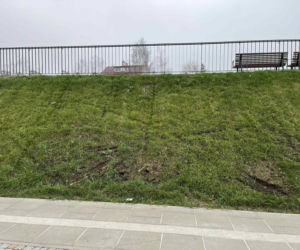 Zniszczenia w parku nad POW