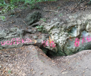 Wandale zniszczyli przyrodniczy skarb pod Bydgoszczą. Jaskinia „Bajka” oszpecona farbą