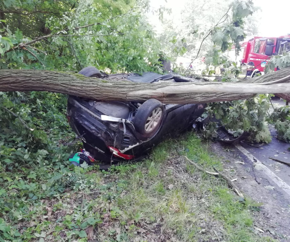 Dolny Śląsk: Samochód wypadł z drogi i dachował