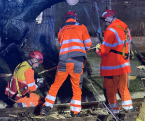 Powalone drzewa i awarie prądu w części województwa