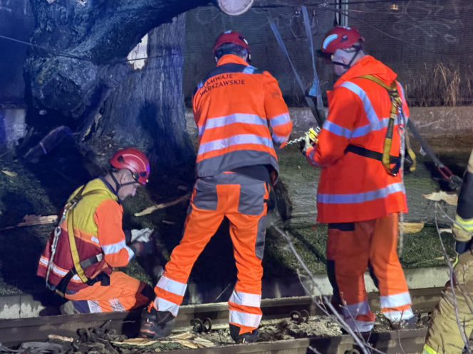 Powalone drzewa i awarie prądu w części województwa