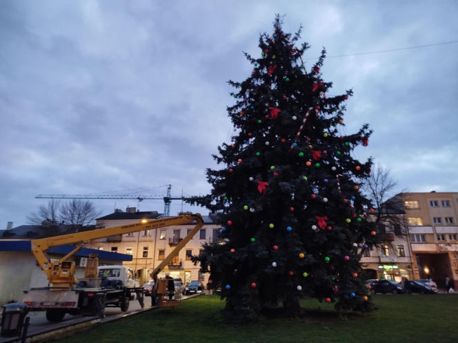 Choinka miejska Siedlce