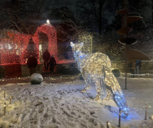 MagicznyBotaniczny 2025/2026 w Warszawie