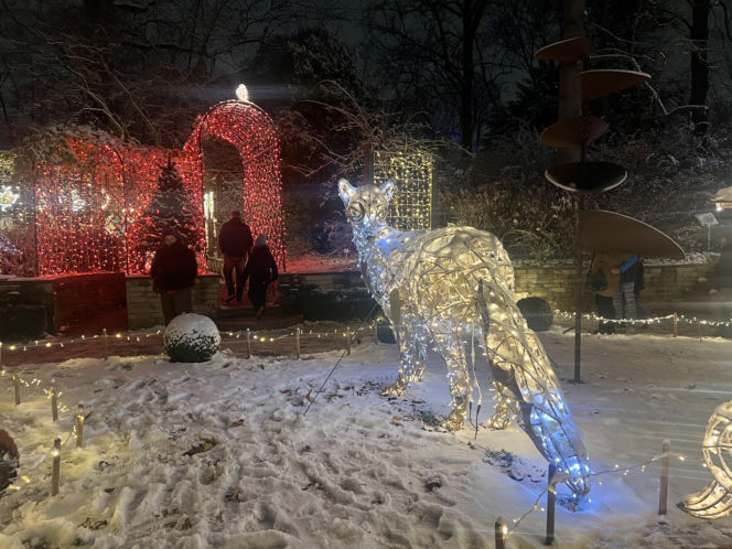 MagicznyBotaniczny 2025/2026 w Warszawie