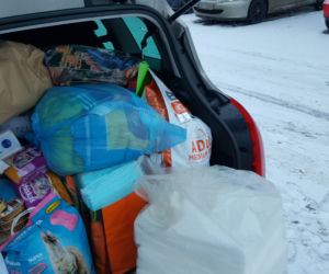 Mnóstwo darów dla bydgoskiego schroniska! Za nami finał akcji Paka dla zwierzaka!