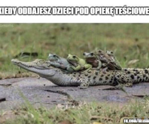 Tych memów o teściowych nie pokażesz mamie! Internauci nie mają litości