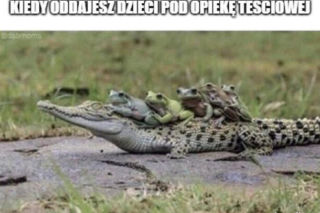 Tych memów o teściowych nie pokażesz mamie! Internauci nie mają litości