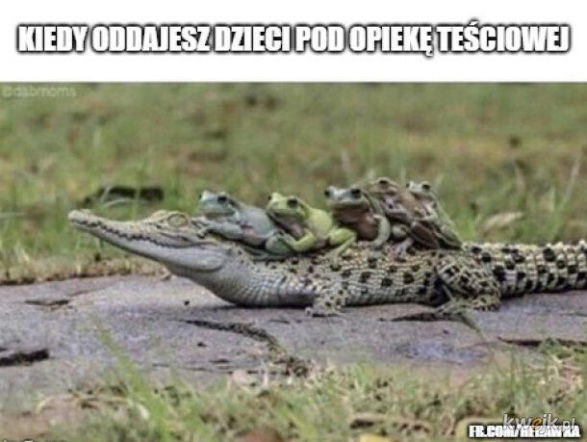 Tych memów o teściowych nie pokażesz mamie! Internauci nie mają litości