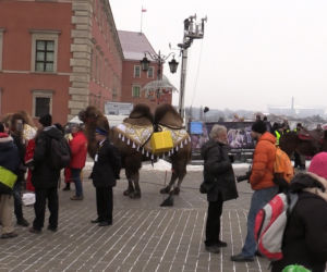 Orszak Trzech Króli 2016 w Warszawie