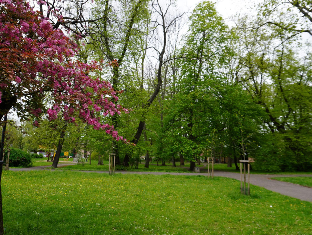 Park Bronowice wiosną 2024