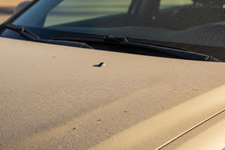 Pył saharyjski znów w Polsce. Czym grozi próba doczyszczenia auta?