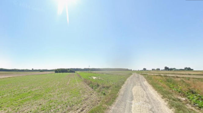 Dąbrowa