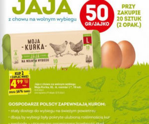 Biedronka - nowe  promocje. Tanie masło, nabiał, pieczywo za darmo!