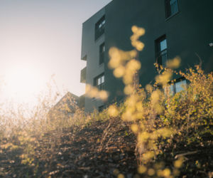 Sarnie Osiedle w Bielsku-Białej