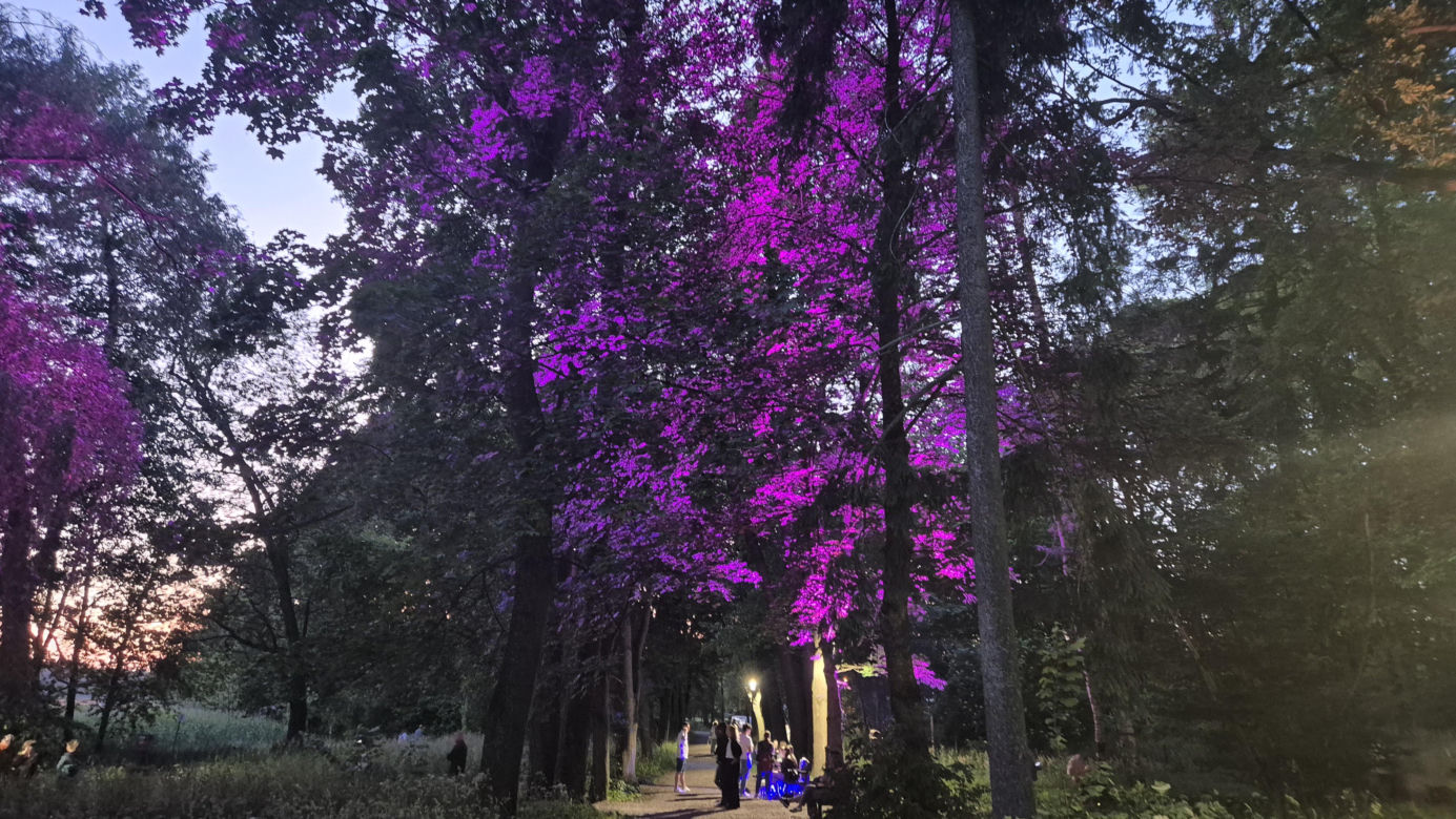 Olsztyn zamienił się w magiczną krainę. Park Świateł przyciągnął tłumy!
