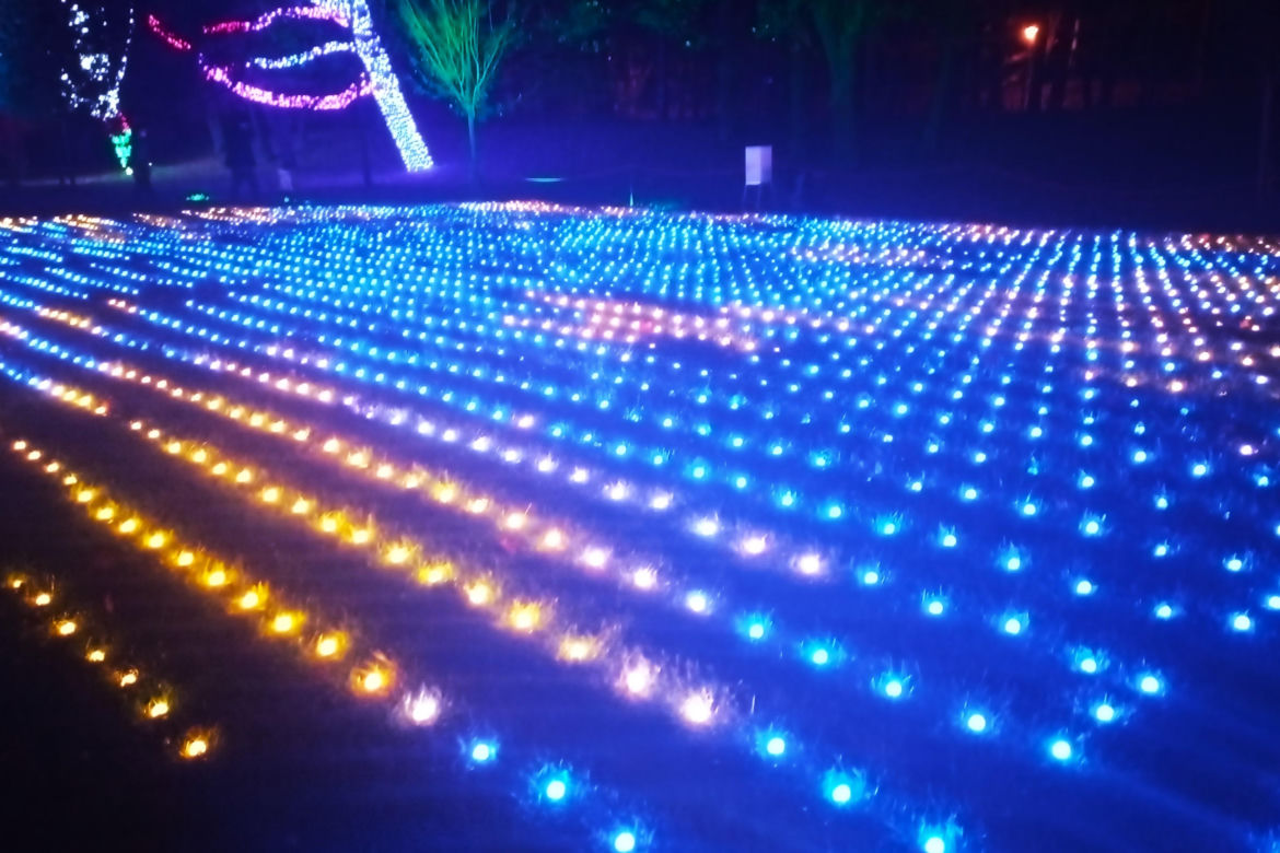 Garden of Lights w Szczecinie