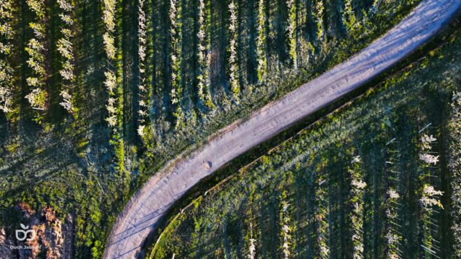 Ultra Duch Jabłoni – nowy ultramaraton kolarski ze startem i metą w Grójcu