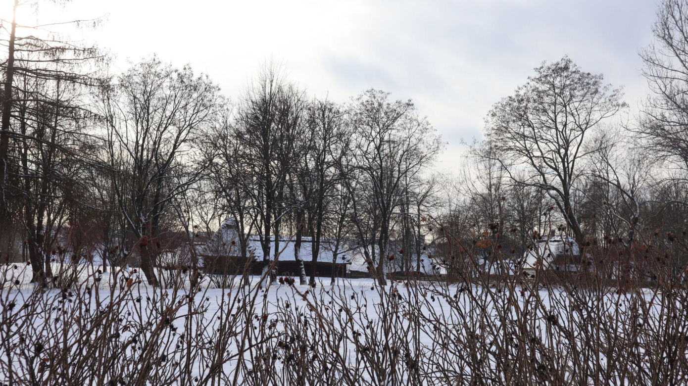 Cicho i wszędzie biało. Tak prezentuje się skansen w Lublinie w zimowej odsłonie! [GALERIA]