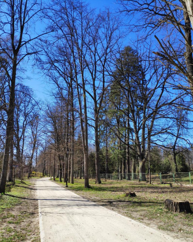 Nowa atrakcja turystyczna w Białowieży