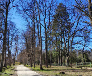 Nowa atrakcja turystyczna w Białowieży