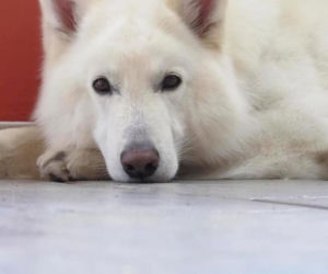 Małgorzata Ostrowska