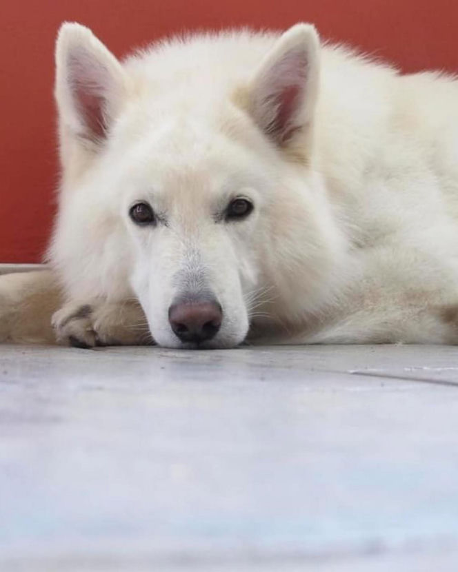 Małgorzata Ostrowska