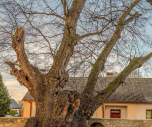 To jedno z najmniejszych miast w Małopolsce. Kiedyś straciło prawa miejskie na wiele lat