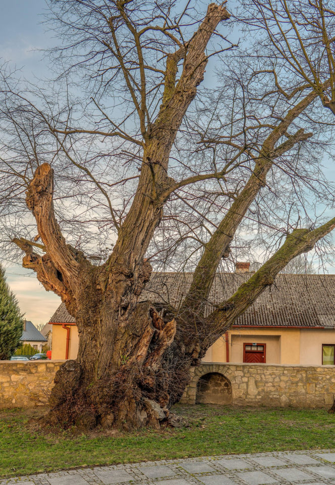 To jedno z najmniejszych miast w Małopolsce. Kiedyś straciło prawa miejskie na wiele lat