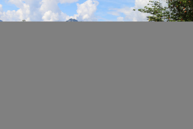 Harley-Davidson Experience Ride Grand Tour of Switzerland 2016