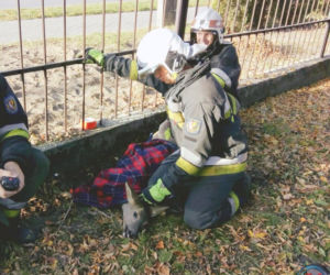 Nietypowy gość strażaków