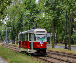 Warszawska podróż w czasie. Kultowe „Parówki”, Ikarusy i Jelcze wracają na trasy