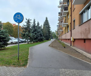 Kilkaset roślin i pergola. Zmienia się Dąbrowskiego